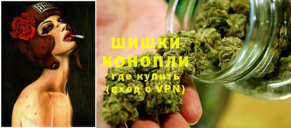прущая мука Няндома